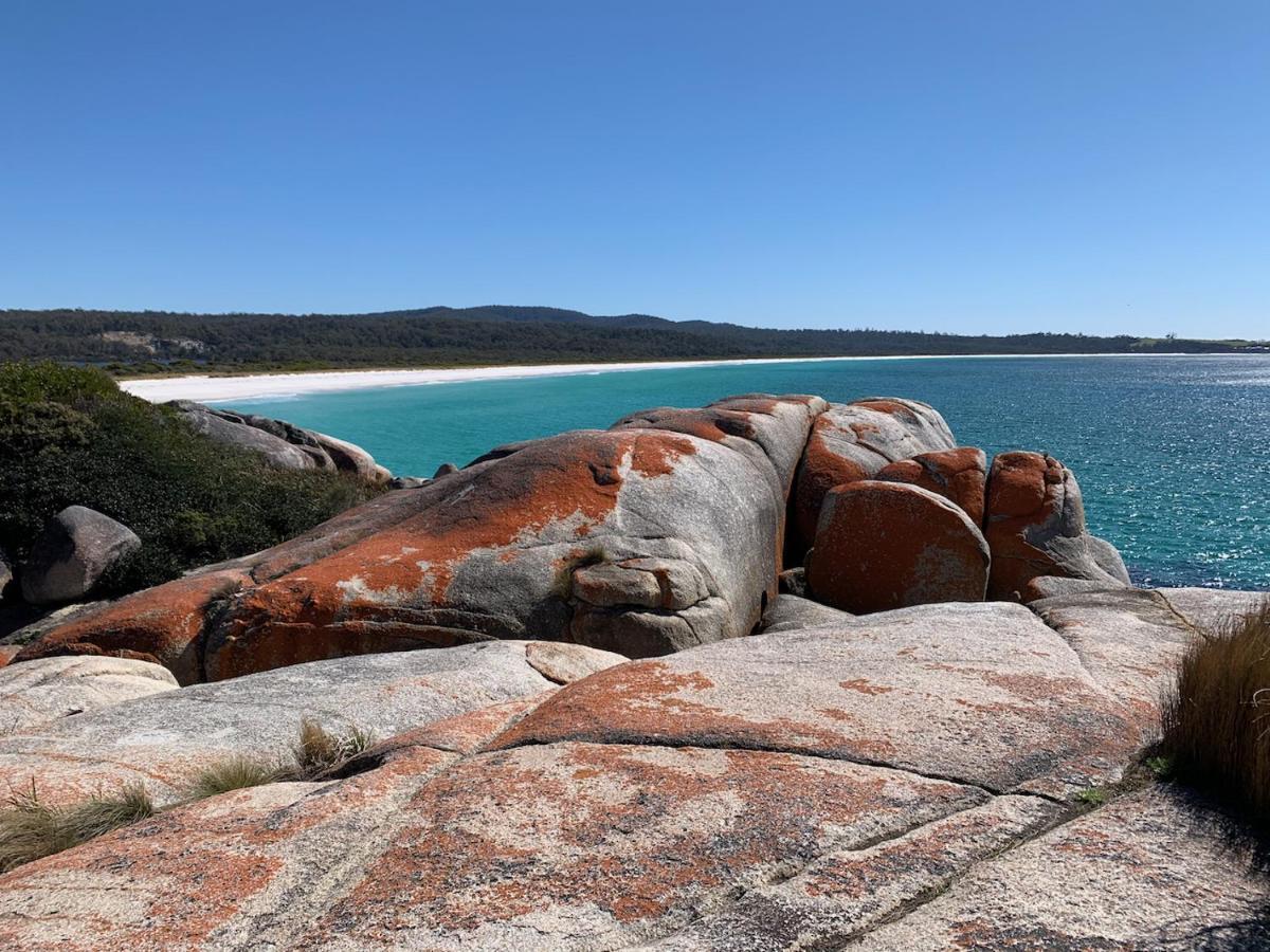 Villa Bay Of Fires Great Escape à Binalong Bay Extérieur photo